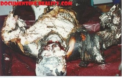burnt-corpse-morgue.jpg