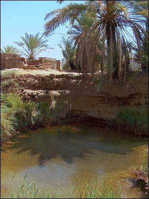 dakhla_magic_spring.jpg