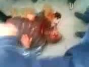 Name:  istantanea_007.jpg
Views: 71
Size:  3.9 KB
