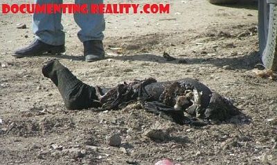 suicide-bomber-iraq.jpg