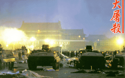 n00006141-b.gif