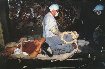 t3.jpg