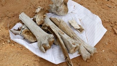 mass_grave_ap110925034131_620x350.jpg