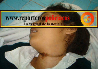 image003.gif