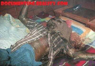 rotten-bed.jpg