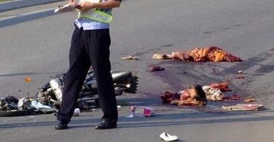 road-kill-1-.jpg