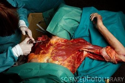examination-spl.jpg