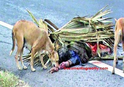 stray-dogs-eating-part-human-body...jpg