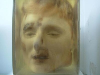 creepy-specimens.jpg