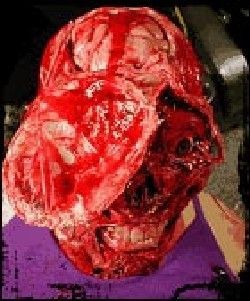 photo-blood-feast-2-all-u-can-eat-790-2.jpg