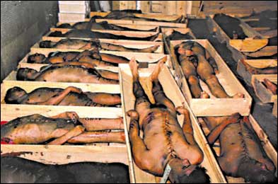 merry christmas gore lovers (26).jpg