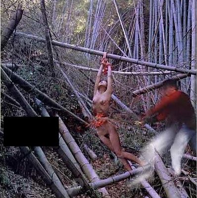 chopped-suey.jpg