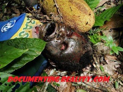 fell from tree4.JPG