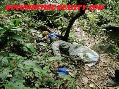 fell from tree5.JPG