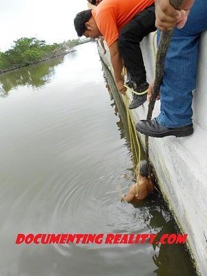 fishing.jpg