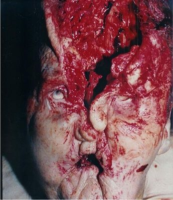 44-magnum.jpg
