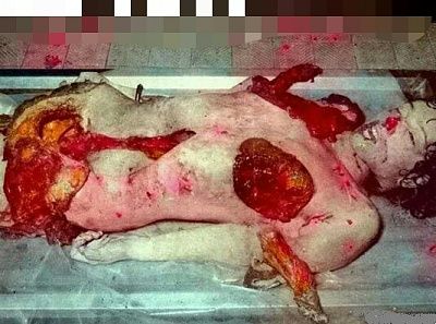 1326832212-picsay.jpg