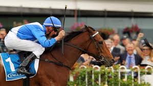 racehorse2.jpg