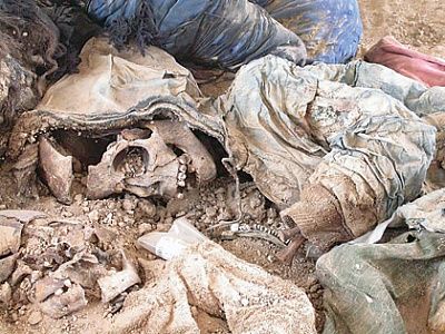 iraq-skeleton.jpg