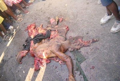 skinned2.jpg
