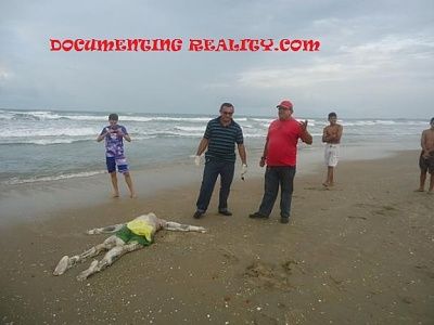 fun-beach-5-.jpg