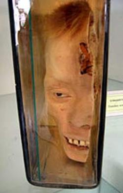Name:  thai_museum_222085a.jpg
Views: 7449
Size:  12.5 KB