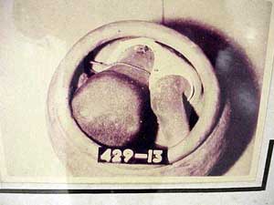 13d1.jpg