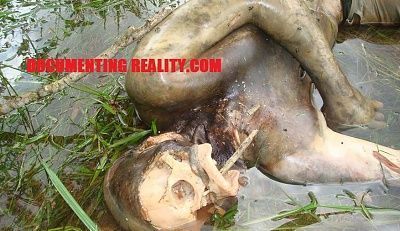 decomposing.jpg