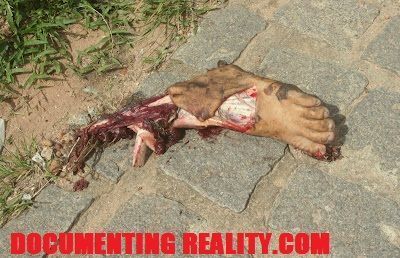 train deaths (2).JPG