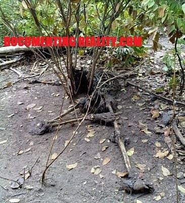 body-found.jpg