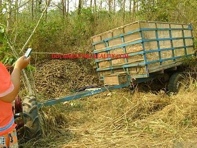 dead-load-1-.jpg