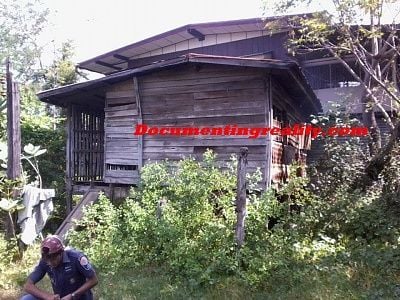 magg11.jpg