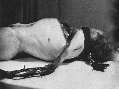eaten by rats (2).jpg