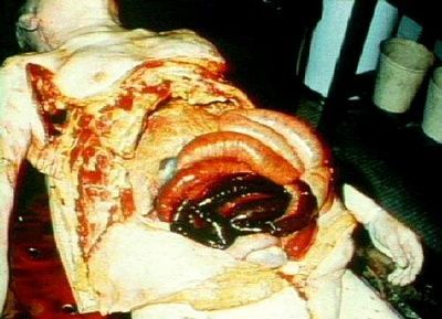 tasty-insides.jpg