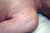 Name:  tardiue.jpg
Views: 2947
Size:  16.7 KB