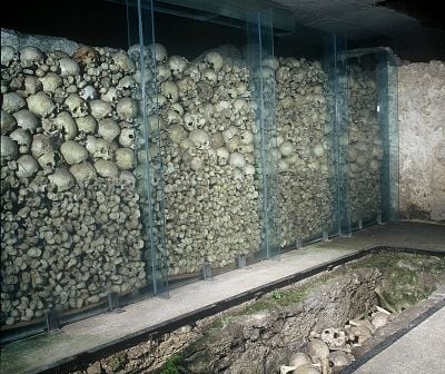 skulls.jpg