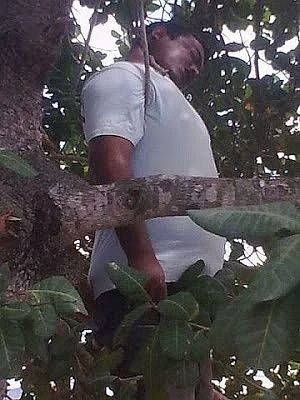 young-20man-20hanged-20himself-20in-20a-20tree-2001.jpg