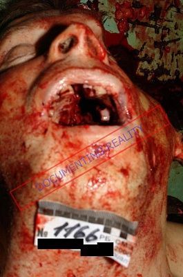 gunshot3.jpg