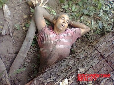 crushed-20by-20tree-20-282-29.jpg