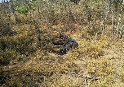 50-20yo-20-28approx-29-20man-20found-20dead-2001.jpg