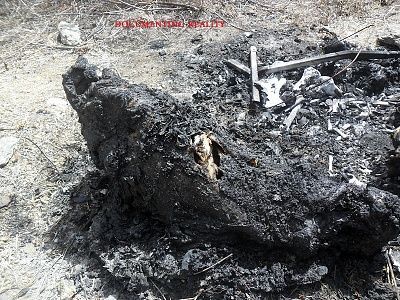 woman-20decapitated-20and-20burned-20-286-29.jpg