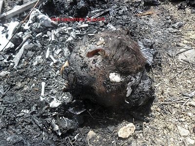 woman-20decapitated-20and-20burned-20-287-29.jpg