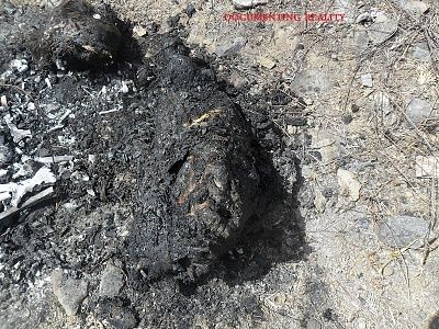 woman-20decapitated-20and-20burned-20-288-29.jpg