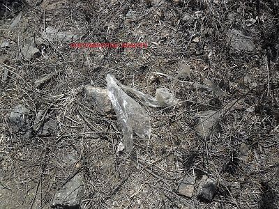woman-20decapitated-20and-20burned-20-289-29.jpg