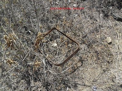 woman-20decapitated-20and-20burned-20-2810-29.jpg