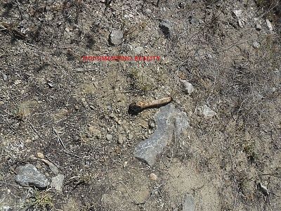 woman-20decapitated-20and-20burned-20-2811-29.jpg