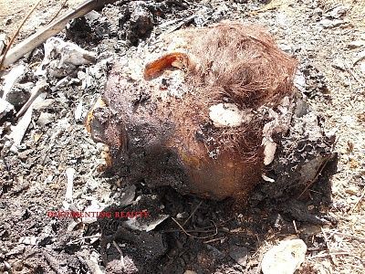woman-20decapitated-20and-20burned-20-2816-29.jpg