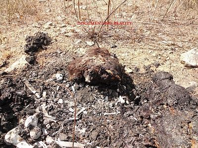 woman-20decapitated-20and-20burned-20-2818-29.jpg