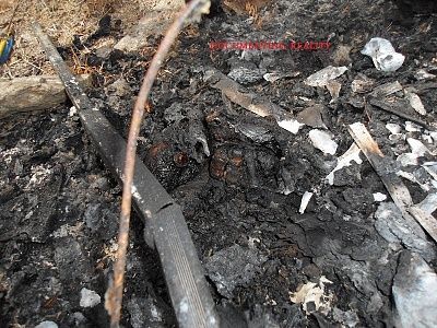 woman-20decapitated-20and-20burned-20-2822-29.jpg