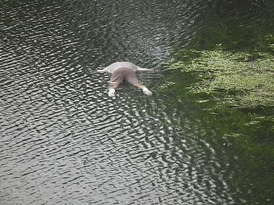 42-20yo-20-20male-20floater-2001.jpg